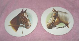 Gorgeous 6 " Round Porcelain Tiles Horses Equestrian Trivet Wall
