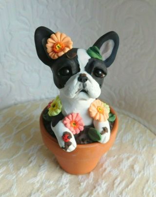 Boston Terrier In The Flower Pot Sculpture Clay By Raquel Thewrc Ooak
