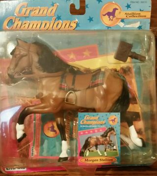 1997 Grand Champions Morgan Stallion