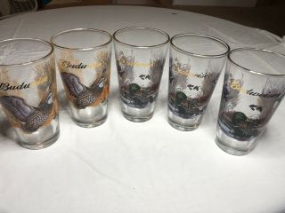 Set Of 5 Vintage Budweiser Ducks Unlimited Drinking Glasses Tumbler