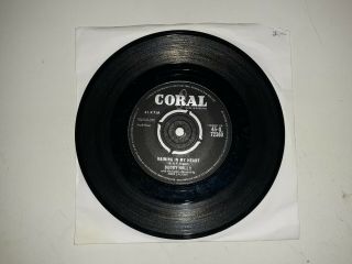 Buddy Holly/raining In My Heart/1958 Coral 7 " Single