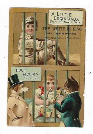 Trade Card White Sewing Machines Esquimaux Fat Baby Circus Side Show Attractions
