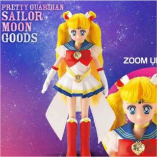 Universal Studios Japan Pretty Guardian Sailor Moon Limited 2019 Fashion Doll