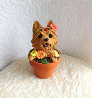 Australian Terrier In The Flower Pot Sculpture Clay By Raquel Thewrc Ooak