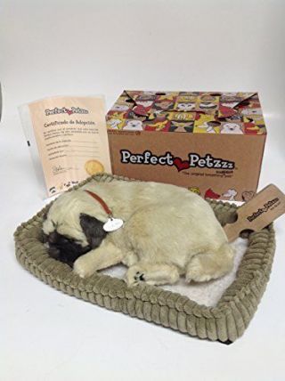 Perfect Petzzz Xp91 - 09 Huggable Pug Puppy