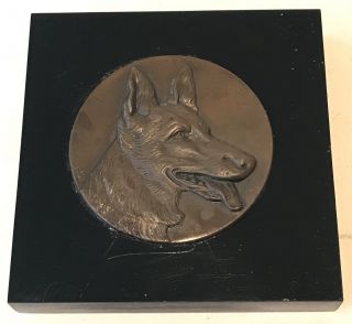 Vintage German Shepherd Dog Bronze Medal Set On A Black Acrylic Base Paperweight