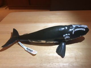Right Whale By Schleich 2005 Retired Blue Rubber Marine Mammal Figure Germany