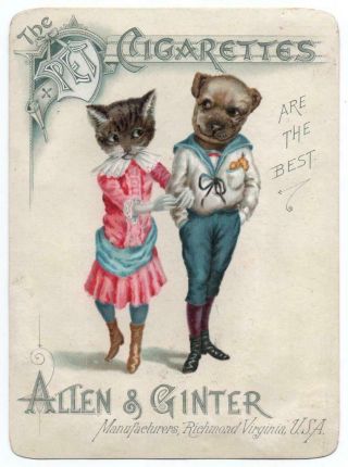Allen & Ginter Pet Cigarettes Trade Card Dog And Cat Courting Image