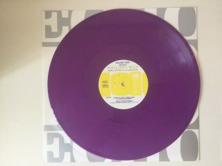 Julian Cope - 20 Mothers (LP) (Purple Vinyl) Vinyl Sleeve 6
