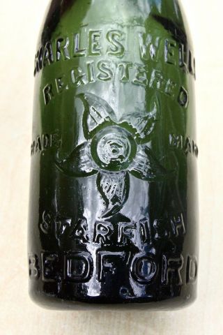 Vintage C1900s Charles Wells Bedford Starfish Pictorial Dark Green Beer Bottle