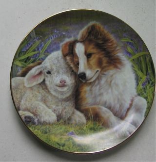 Shetland Sheepdog Limited Edition Collectors Plate " Lean On Me "