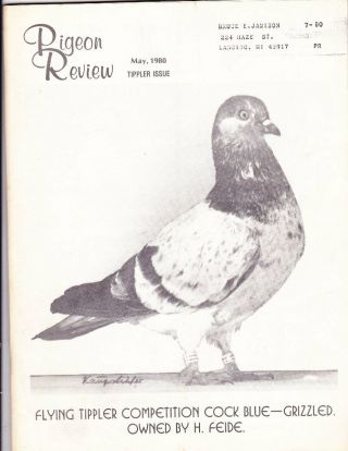 Tippler Breed Special Pigeon Review 1980 100 Pages On Tipplers Rare