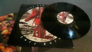 Kate Bush - The Red Shoes - Vinyl Lp - V Rare Uk 1st Press 1993 - Emd 1047