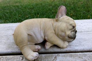 French Bulldog Puppy Dog Figurine Statue Resin Pet 8.  5 " L Sleeping On Side