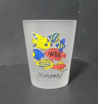 Souvenir Shotglass From The Bahamas - Frosted With Multicolor Fish