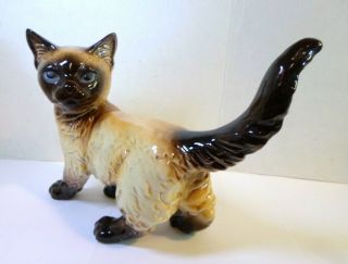 Vintage Goebel Seal Point Siamese Cat Figurine Blue Eyes 8.  5 " Long W Germany