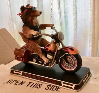 Sheltie Danbury " Bad To The Bone " Shetland Sheepdog On Motorcycle