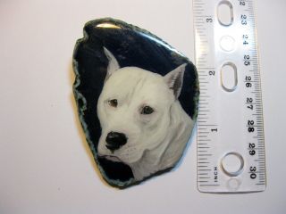 Argentine Dogo Dog Brooch/pendant On Agate