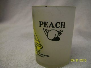 Vintage 1960 - 70 ' s Georgia souvenir frosted shot glass 4