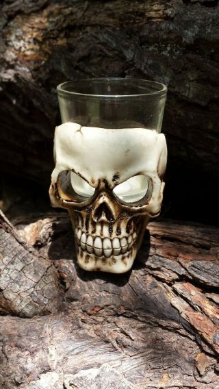 Creepy Skull Shot Glass / Resin Skeleton Barware Goth Ritual