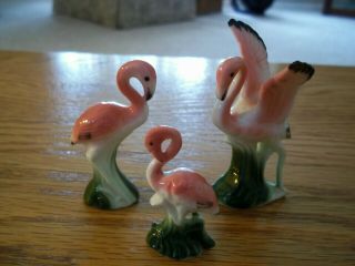 Vintage (3) Set Of Bone China Miniature Pink Flamingos,  Great Color,  Glossy