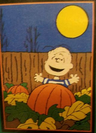 Snoopy Peanuts Large Decorative Flag: Linus And Pumpkin Vtg Nisp Halloween