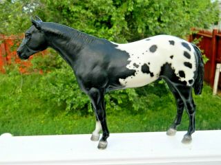 Breyer Stud Spider Appaloosa Traditional Model Horse 66 Black Spotted Vintage