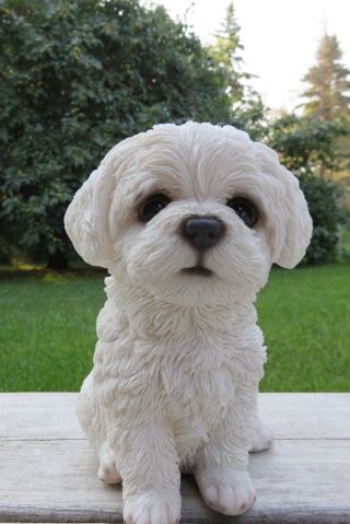 Maltese Puppy Dog Resin Figure Garden Home Decor 6.  75 In.  White Statue Dogs