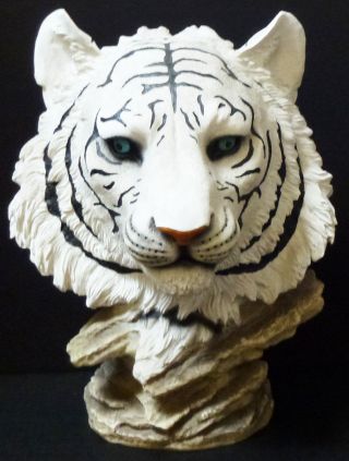 Tigris White Bengal Tiger Bust Statue Figurine H7 " X L14 "
