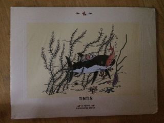 Tintin - Cardboard Poster - Affiche En Papir Cartonne " Rackam Le Rouge "
