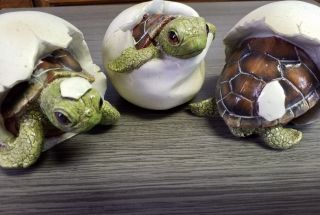Baby Turtles By Toscano (set Of 3) Emerging From Their Shell