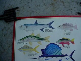 1982 LONE STAR BEER Texas SALT WATER FISH POSTER Record Catches Series 2
