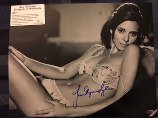 Jamie - Lynn Sigler 11 " X 14 " Autograph Photo Leaf The Sopranos 6