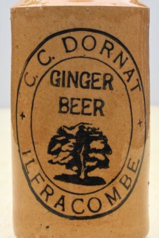 Vintage 1900s Cc Dornat Ilfracombe Devon Tree Pictorial Stone Ginger Beer Bottle