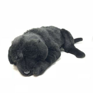Ditz Designs Black Dog Plush Stuffed Animal Realistic Puppy Hen House 20 " Sleep