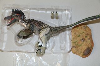 Beasts Of The Mesozoic - Saurornitholestes Langstoni - Pre - Owned