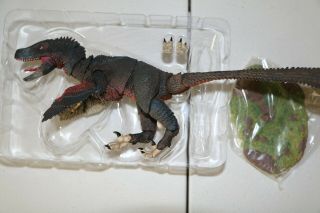 Beasts Of The Mesozoic - Atrociraptor Marshalli - Pre - Owned