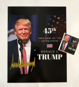 President Donald Trump 8 1/2 " X 11 On Card Stock.  Photo Portrait Picture,  Decal