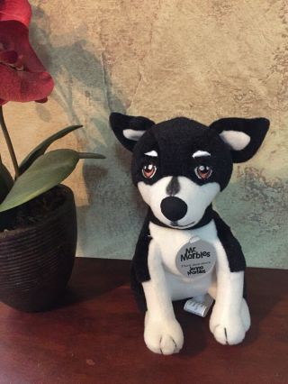 Chihuahua Sitting Plush Dog Mr.  Marbles Squeaker Toy Jenna Marbles Rare