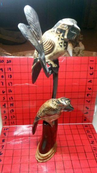 Hand Carved Horn Parrots Bird Sculpture Glass Eyes 16 " Tall Wood Base