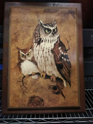 Vintage Screech Owl Wood Framed Plaque Picture Wall Art Richard