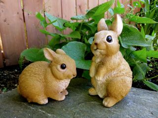 2 Rabbit Bunny Figurines Country Petpals Resin Statue Ornament Bunnies