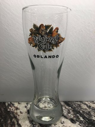 Rainforest Cafe Pilsner Beer Glass Orlando,  Florida 8.  5 " Tall Collectible