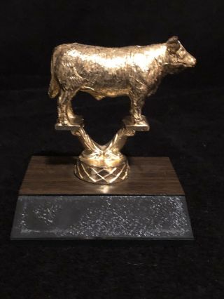 Vintage Gold Metal Cow Trophy Farming 4h Heifer Award Winning Cow