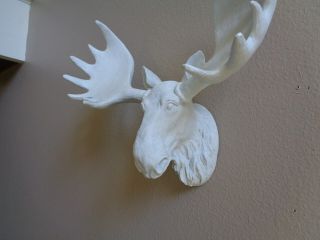 White Paintable Moose Head Wall Art Home / Lodge / Office Decor Quick Ship