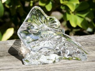 Waterford Crystal Stingray Underwater Ocean Figurine