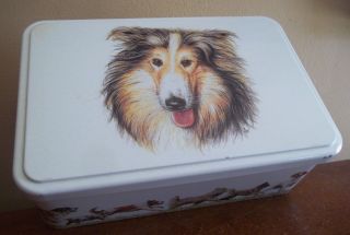 Collie Lassie Shetland Sheepdog Puppy Dog Treat French Storage Gift Tin Box