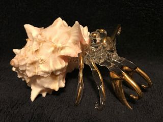 Hermit Crab In Sea Shell Hand Blown Glass Figurine,  Painted Gold Trim