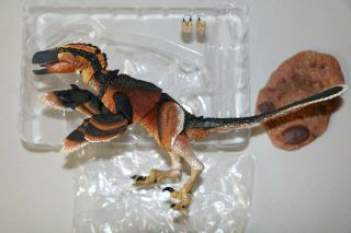 Beasts Of The Mesozoic - Pryroraptor Olympius - Pre - Owned