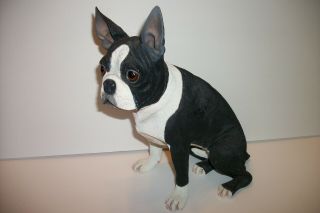 Danbury Large Boston Terrier Statue - Figurine 12 " Dog